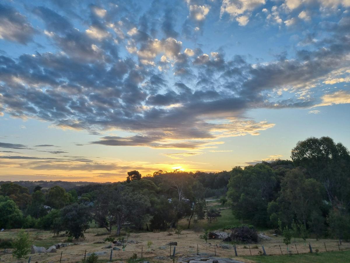 Views from the veranda