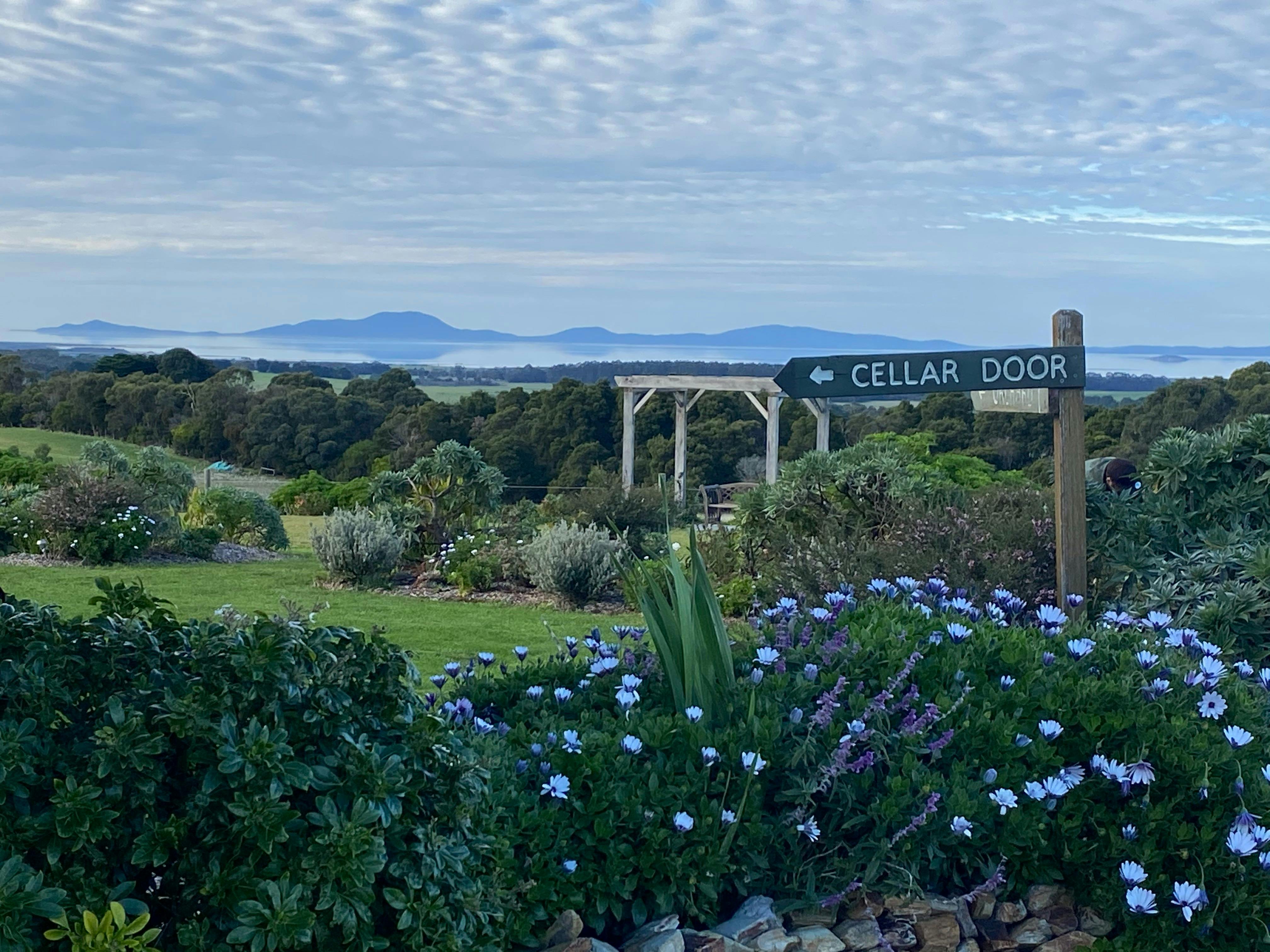 Cellar Door Entrance