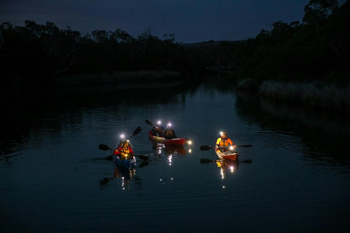 Great Ocean Road Twilight Adventure