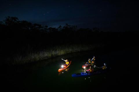 Great Ocean Road Twilight Adventure