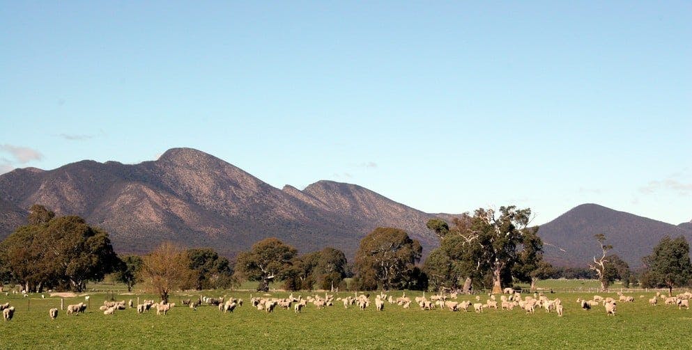 The Grampians