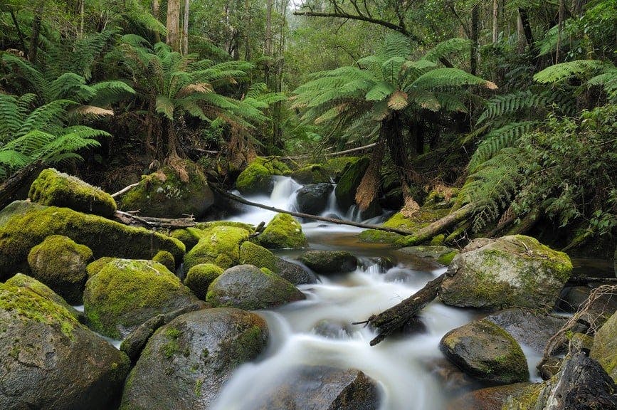 Gippsland