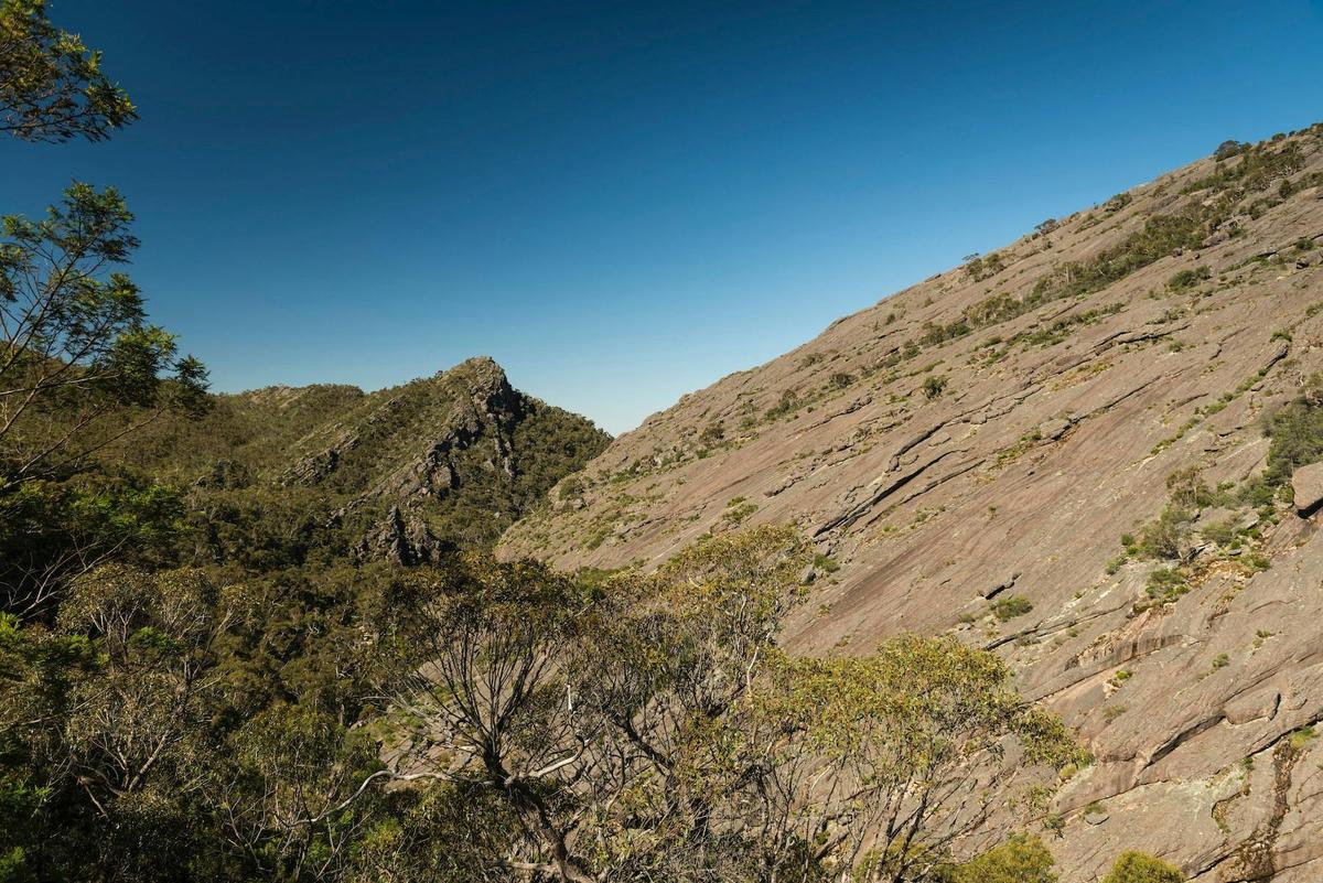 Walking by the Elephant's Hide