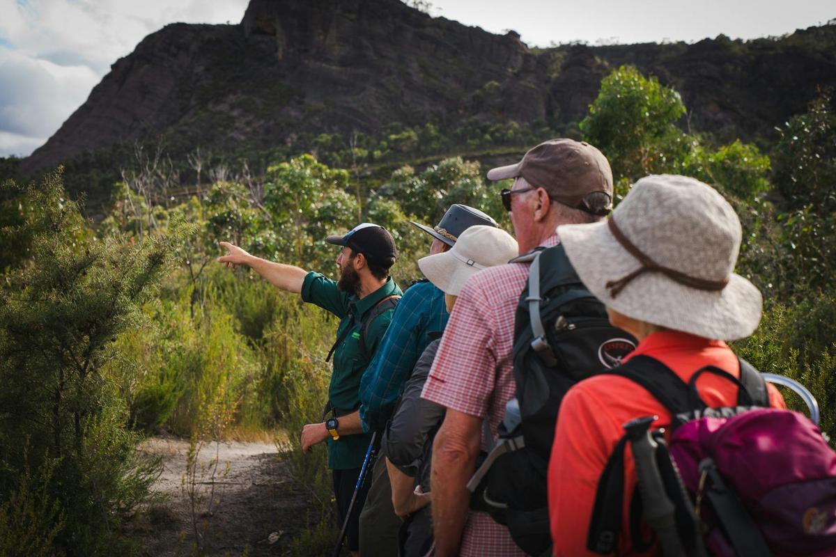 Guests on a guided hike