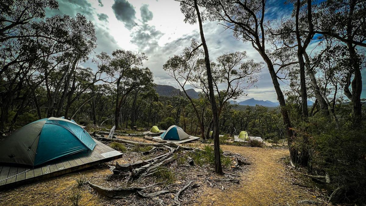 Tented camp at Djardji Djawara hiker camp