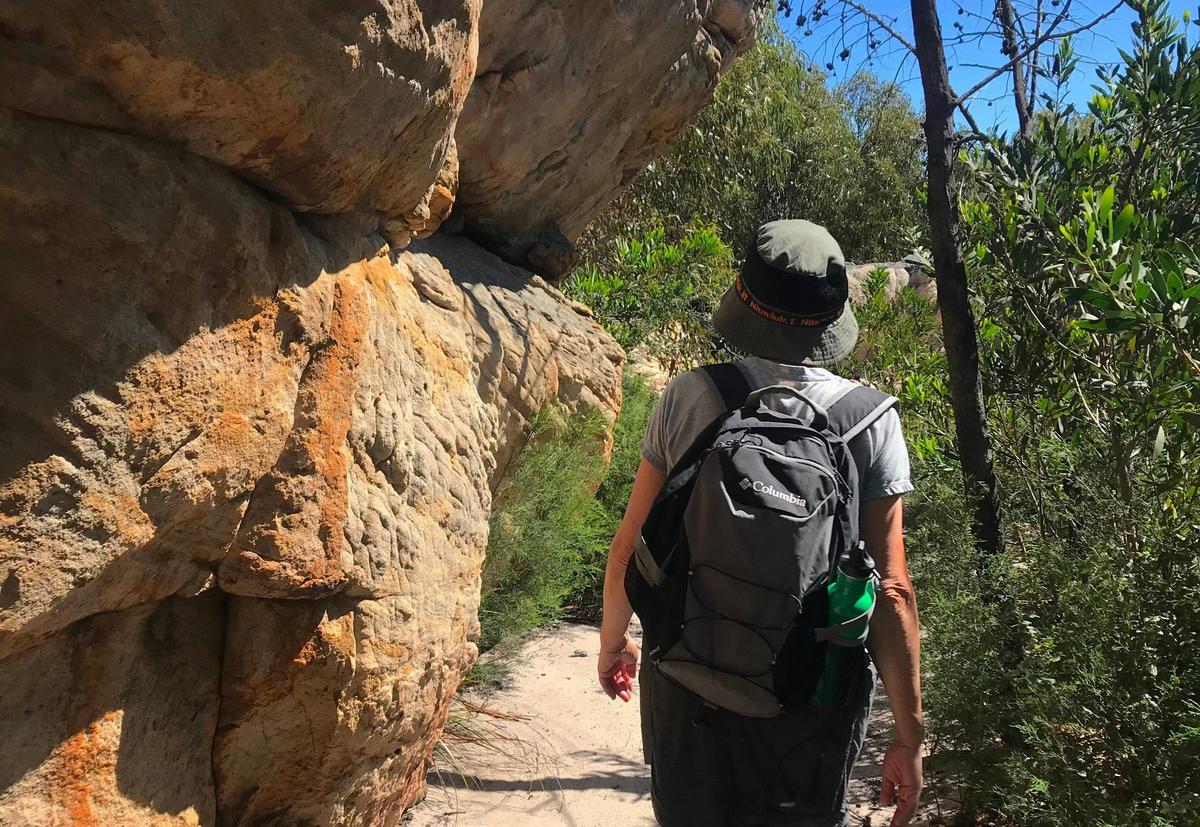 Walking through diverse terrain