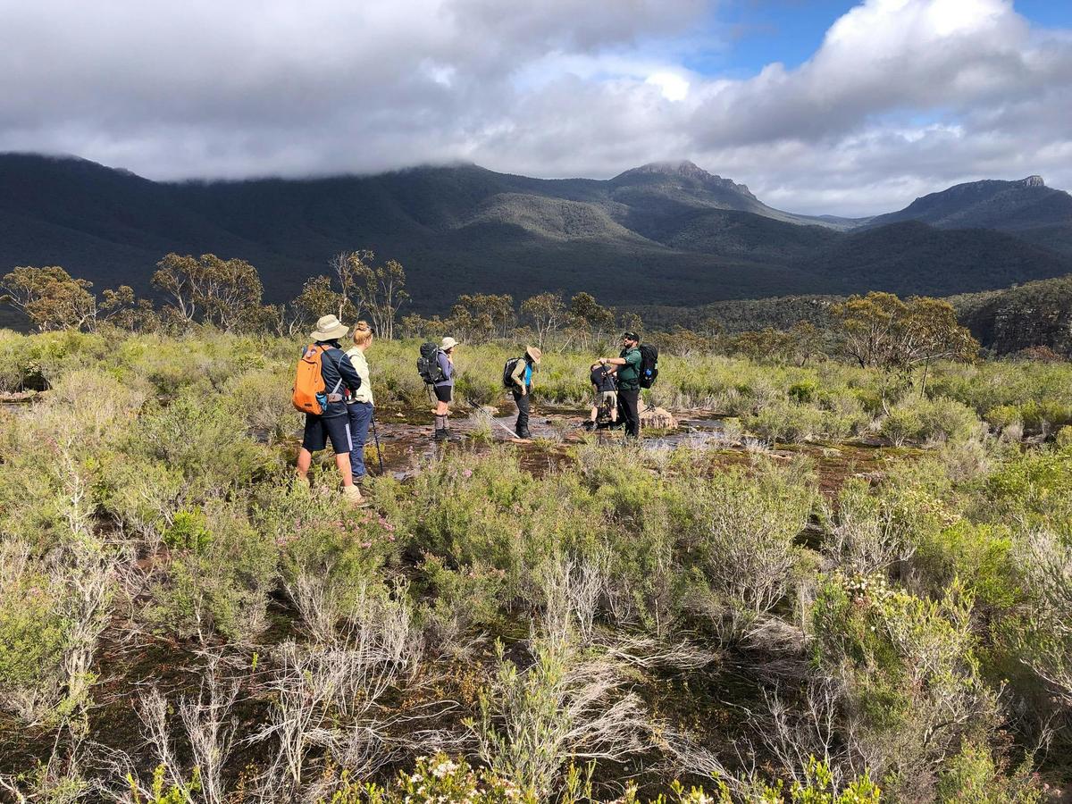 Ever-changing  landscape to explore