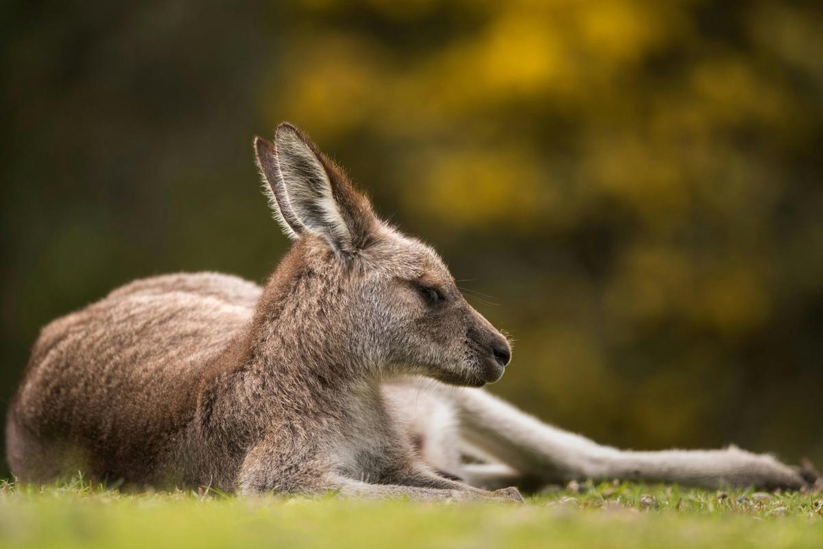 Visitors in the gardens