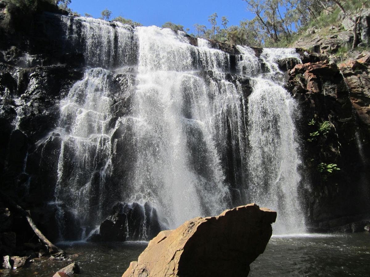 McKenzie Falls