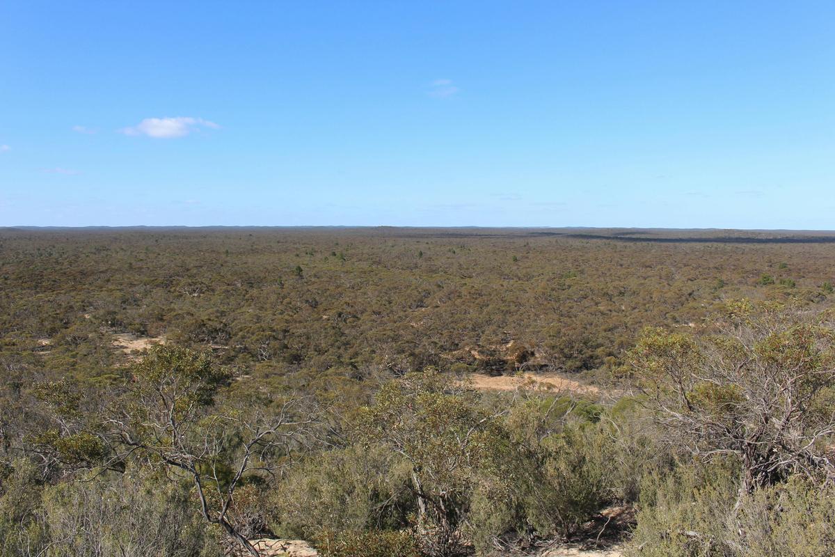 Eastern Lookout Wyperfeld National Park