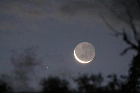 Nocturnal Wildlife Tour