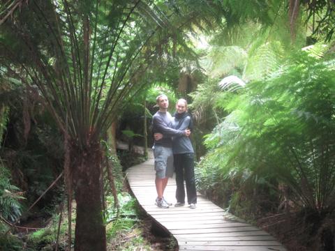 Walking in the rainforest