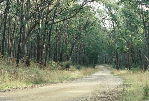 Woowookarung Regional Park, Ballarat