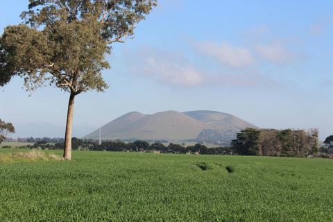 Mount Elephant