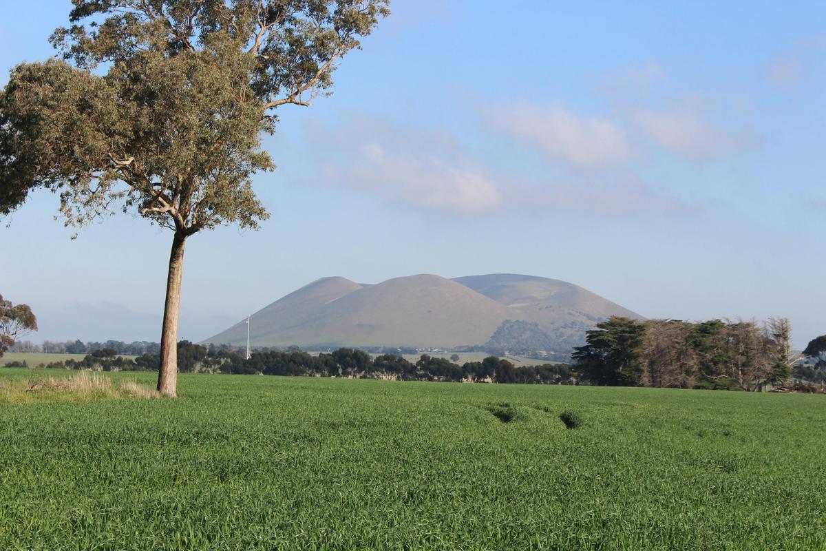 Mount Elephant