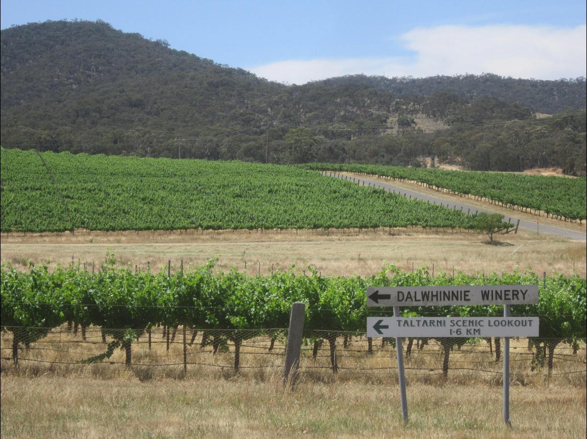 Pyrenees ranges - PYRENEES WINE REGION