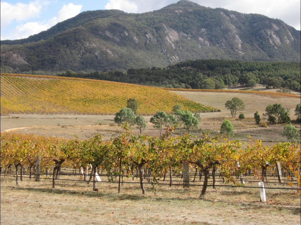 Mount Langi Ghiran winery, GRAMPIANS WINE REGION - GRAMPIANS