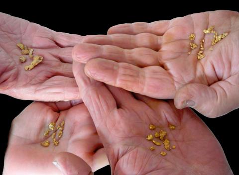 Gold and Relics Gold Prospecting Adventure Tours
