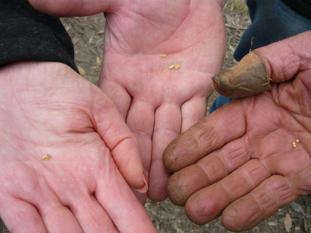 1 Day Gold Prospecting Adventure Tour