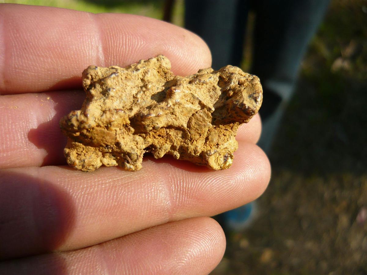Gold nugget, gold prospecting adventure tour