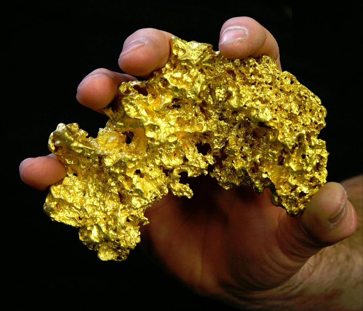 Gold and Relics Gold Prospecting Adventure Tours