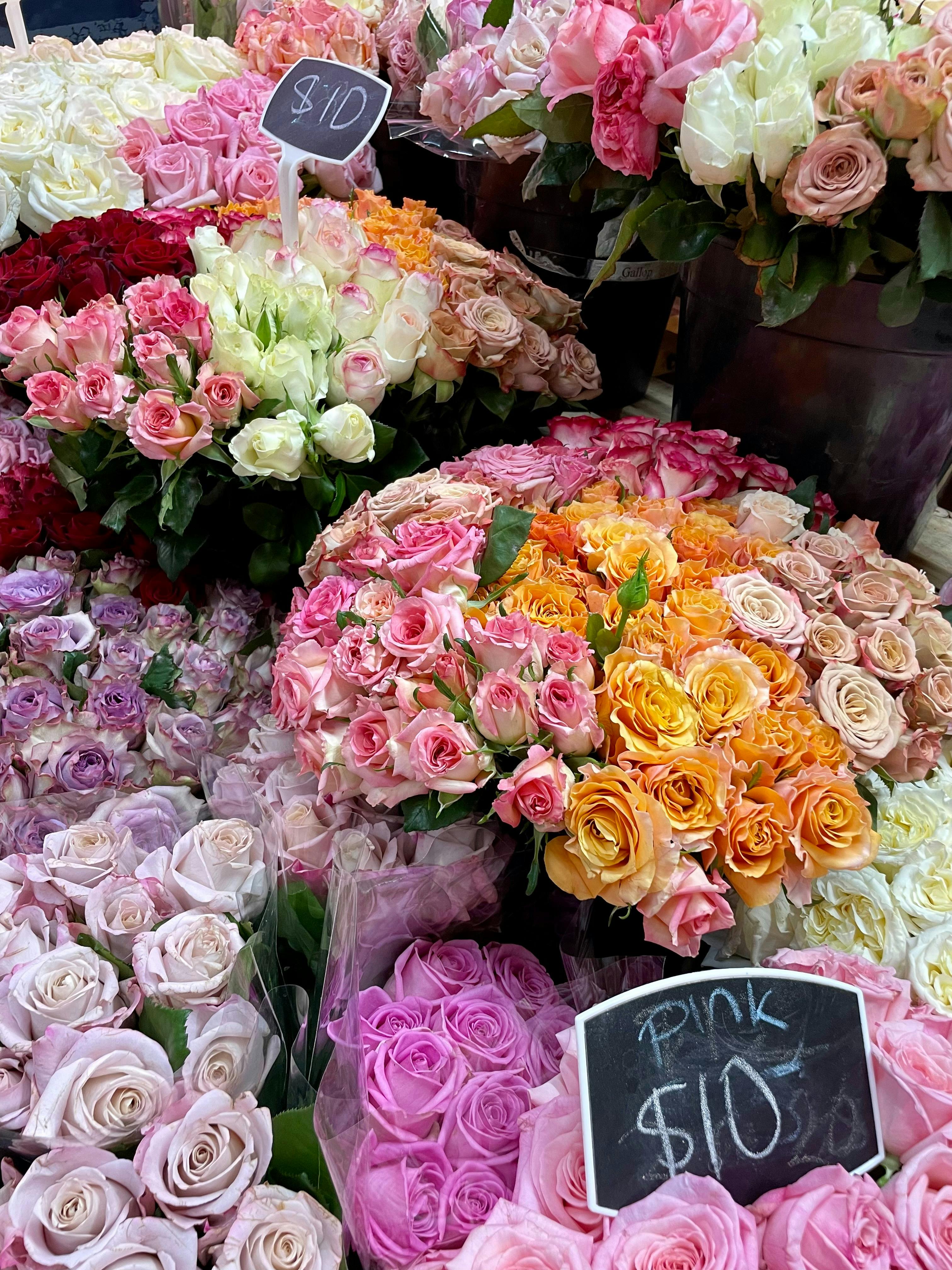 Beautiful Fresh Flower