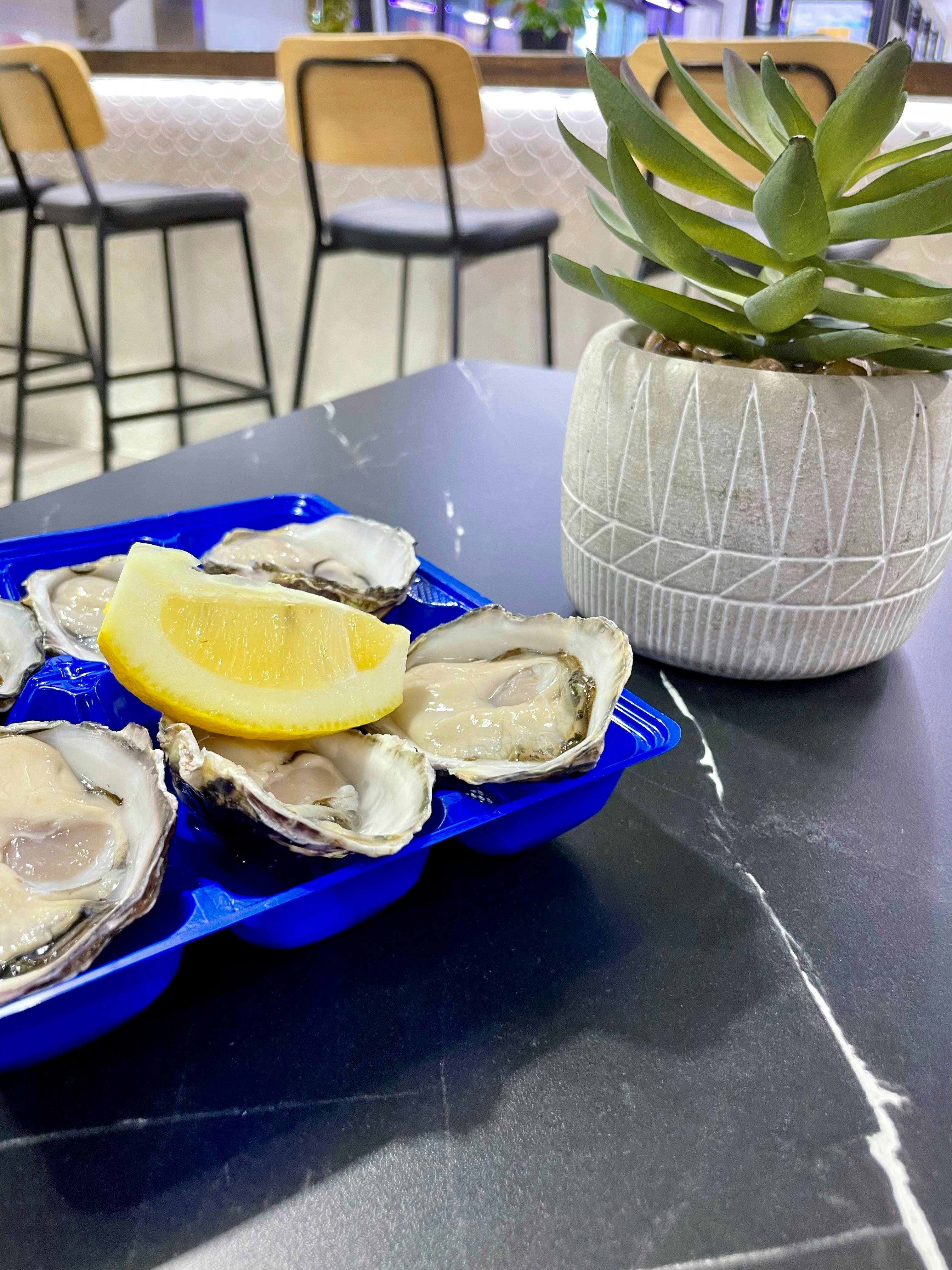 Fresh Oysters at Alice Oyster Bar