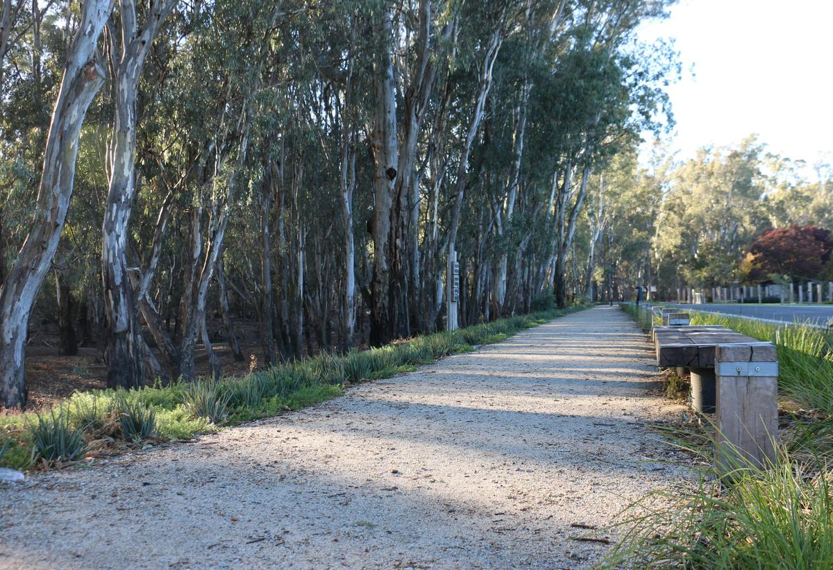Start of Goanna Walking Track