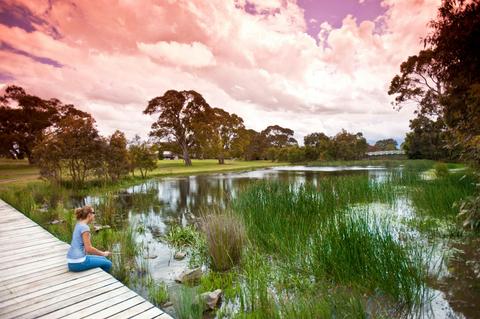 Relax at the Dunkeld Arboretum