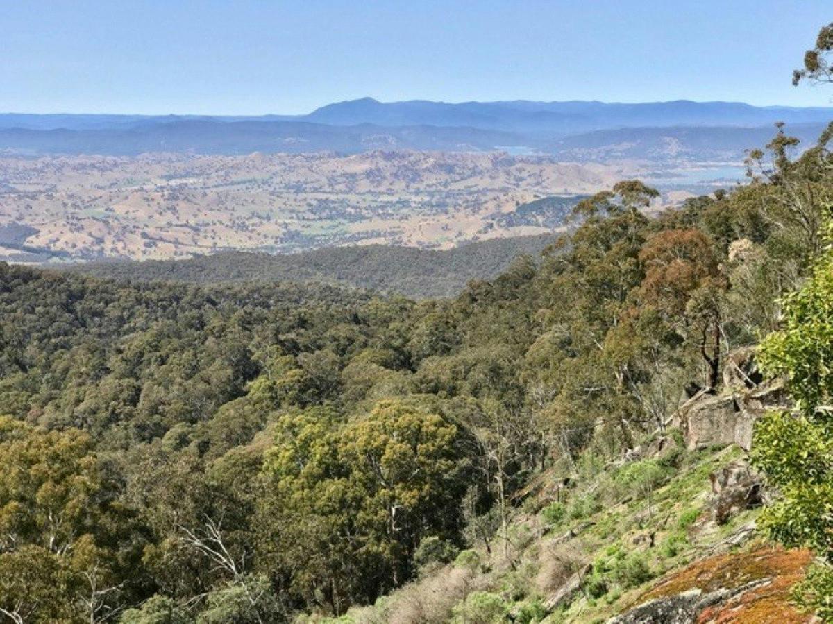 View from lookout on Golden Mountain
