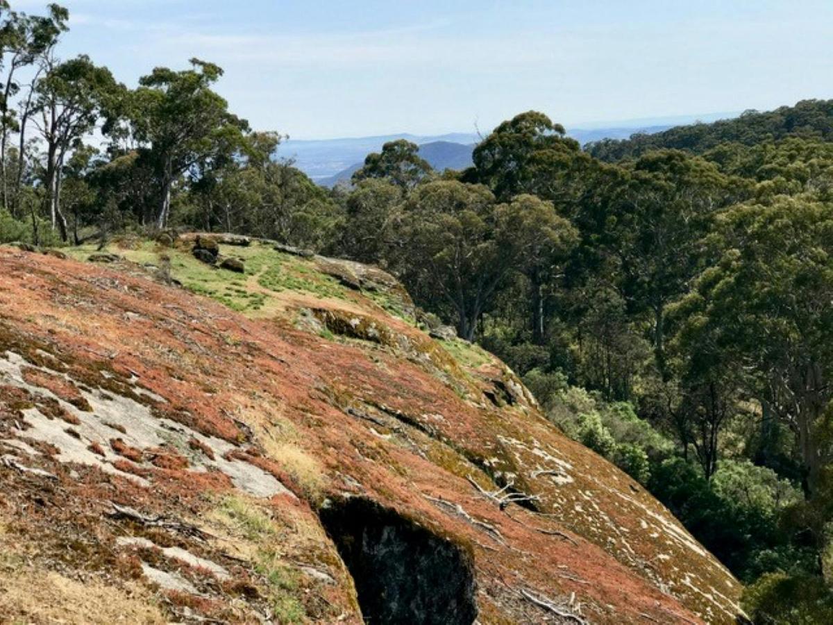 Boulders overgrown with lichen and view