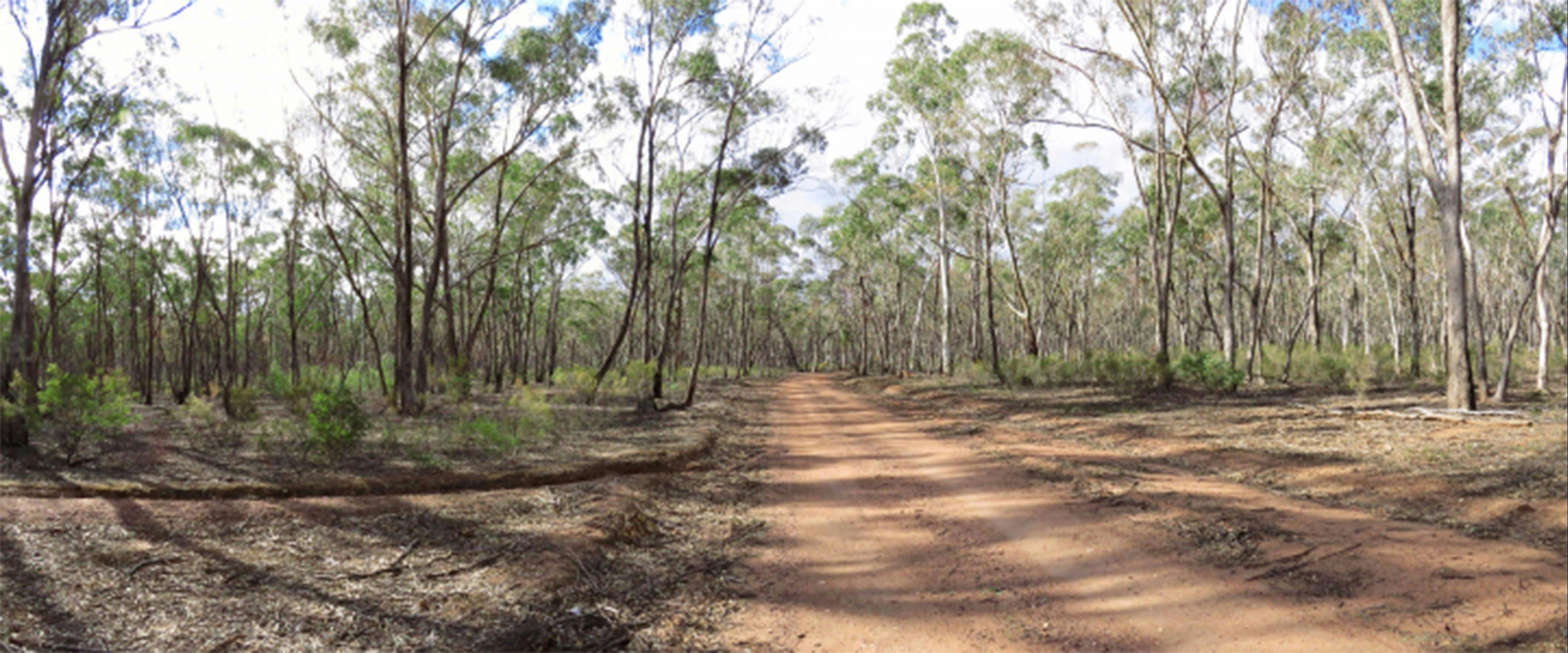 Greater Bendigo National Park
