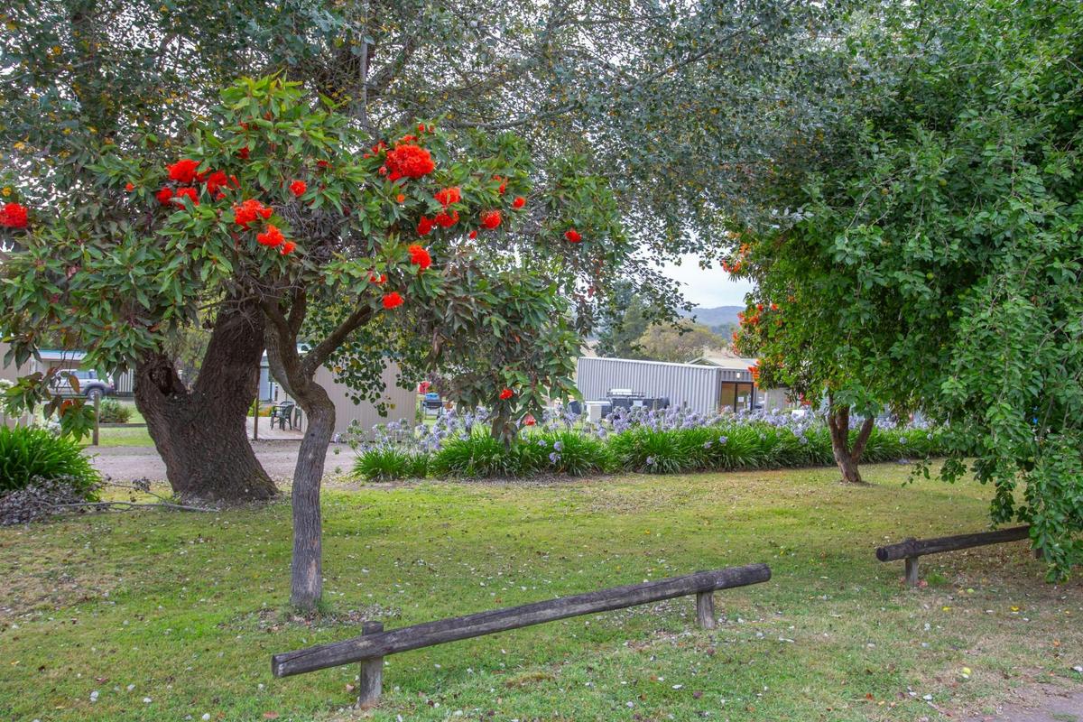 Forrest Holiday Park Powered Site