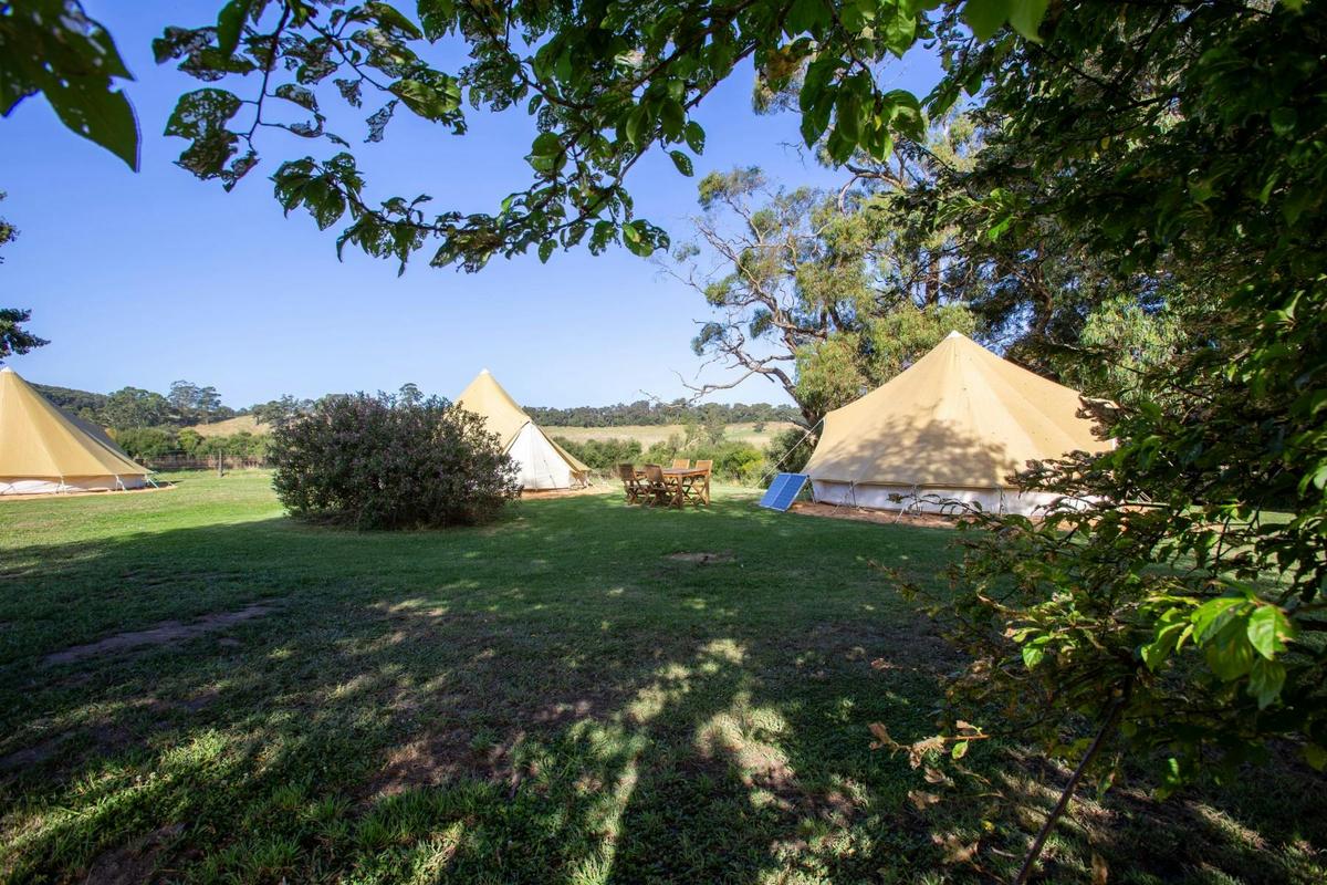 Forrest Holiday Park Unpowered Site