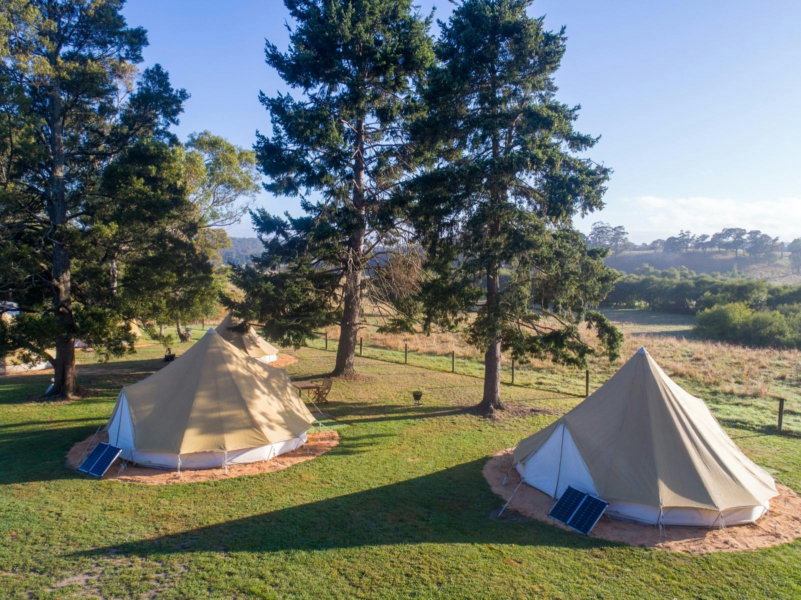 Glamping tents
