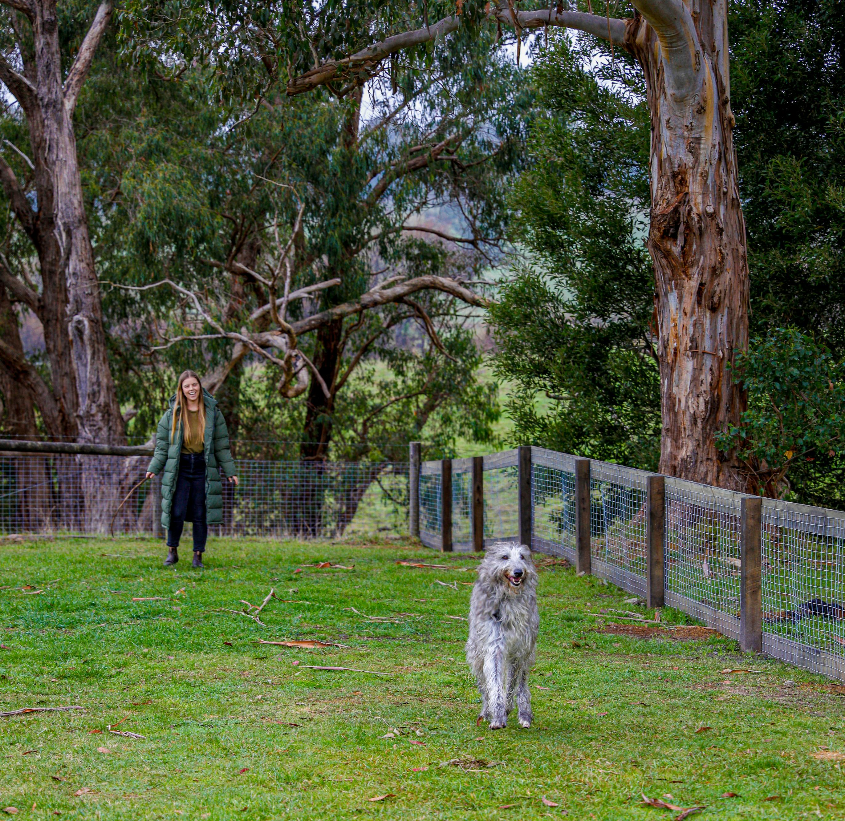 Forrest Holiday Park pet friendly enclosed dog run