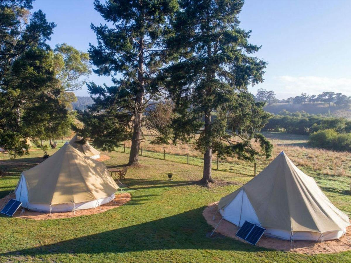 Glamping Tents Aerial View