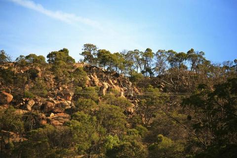 Fire Tracks, Ridges and Rides