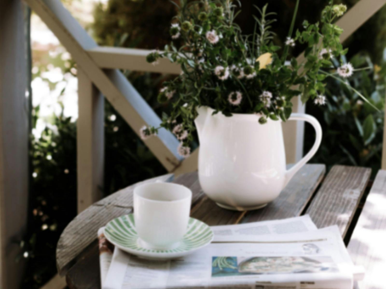 Mid morning on the verandah