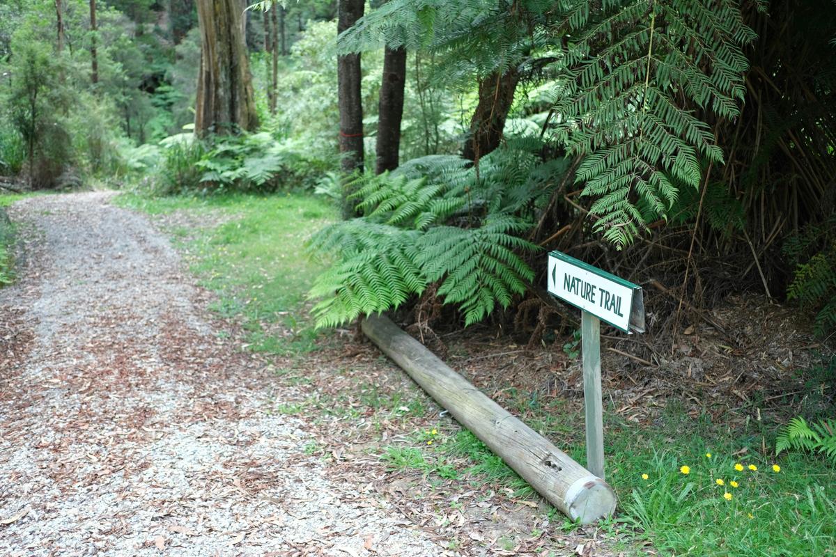 Gilwell Park Nature Trail