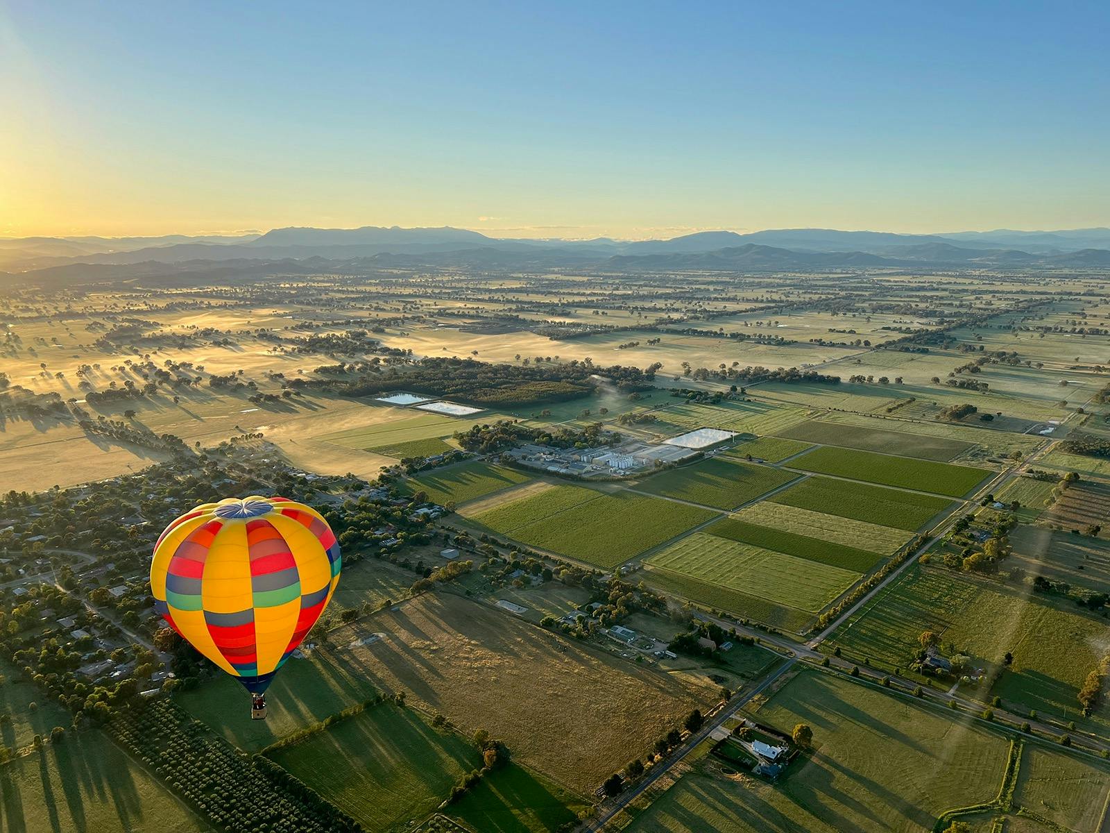 Balloons over Milawa