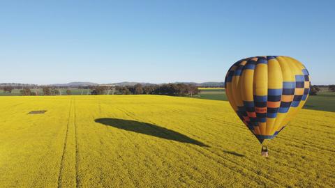 Balloon and shadow over canola field
