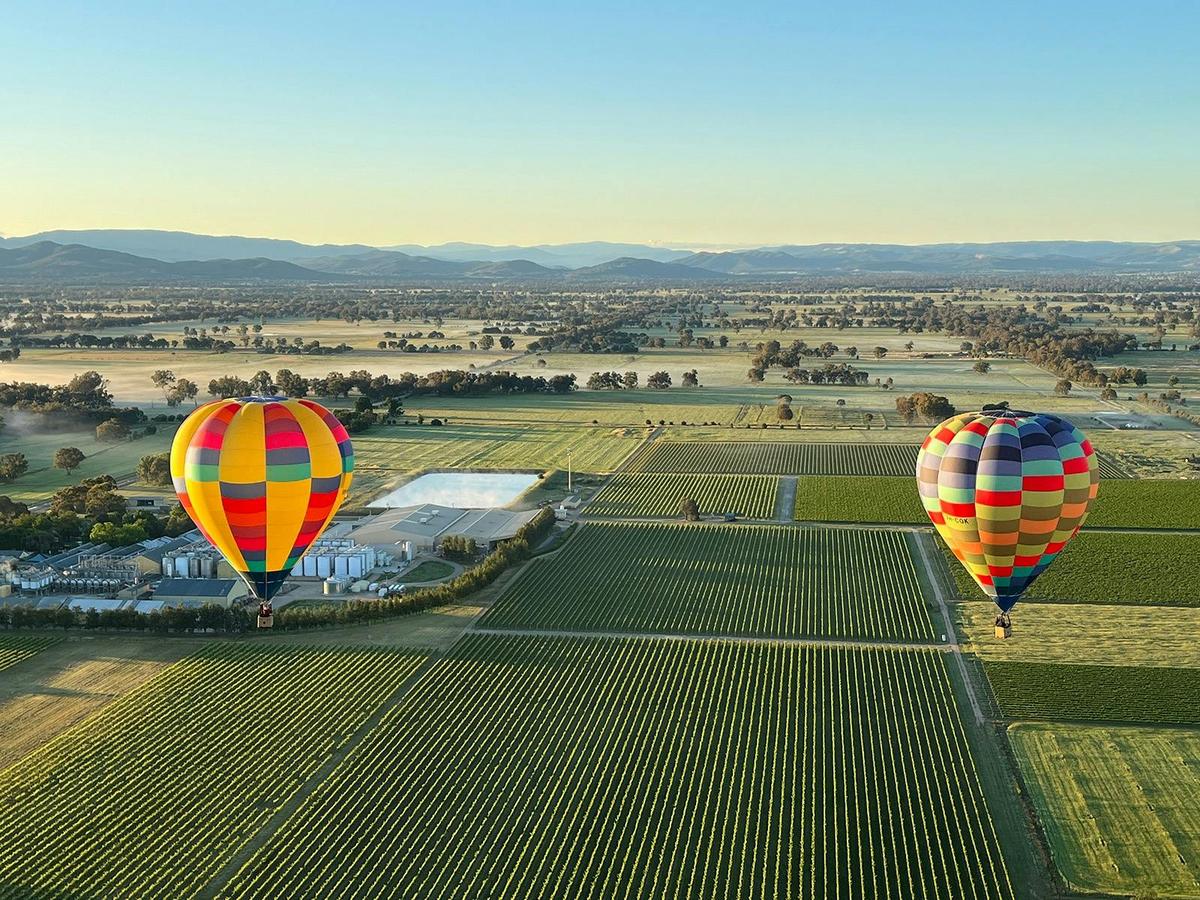Two balloons aloft at Brown Brothers
