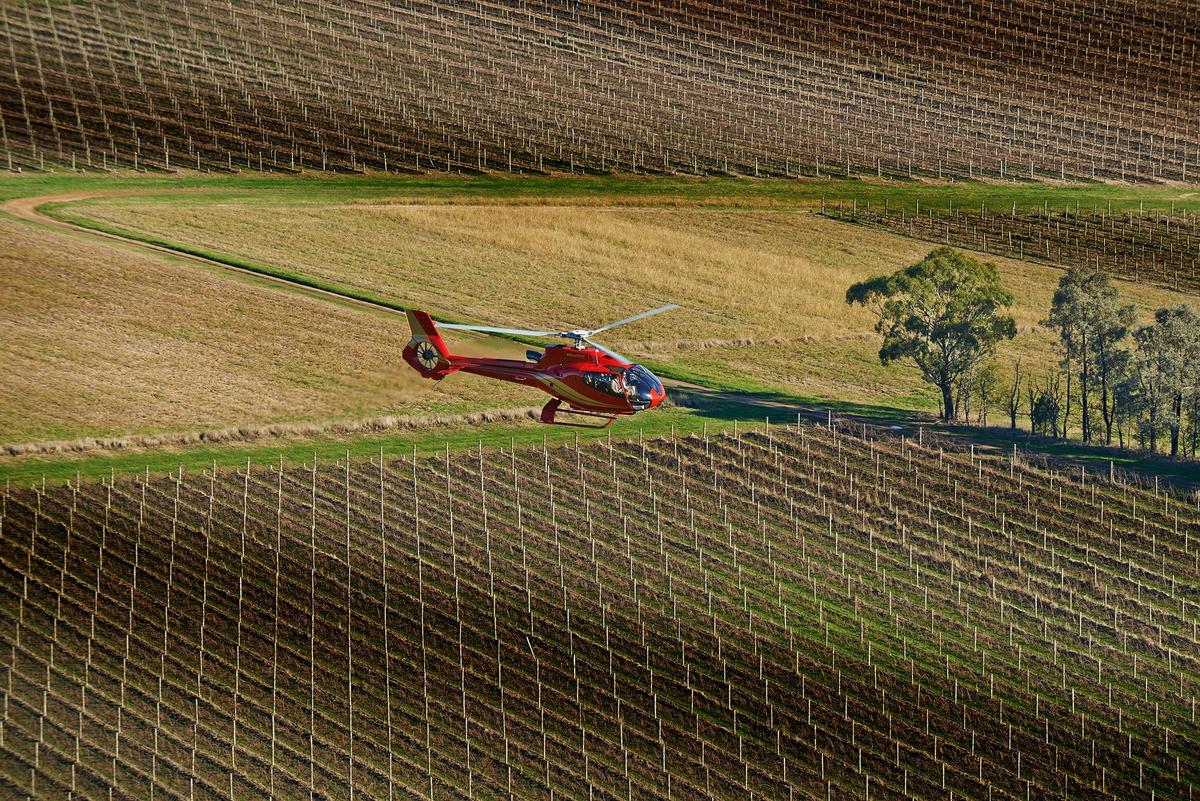 Helicopter & Wine Tour Mornington Peninsula