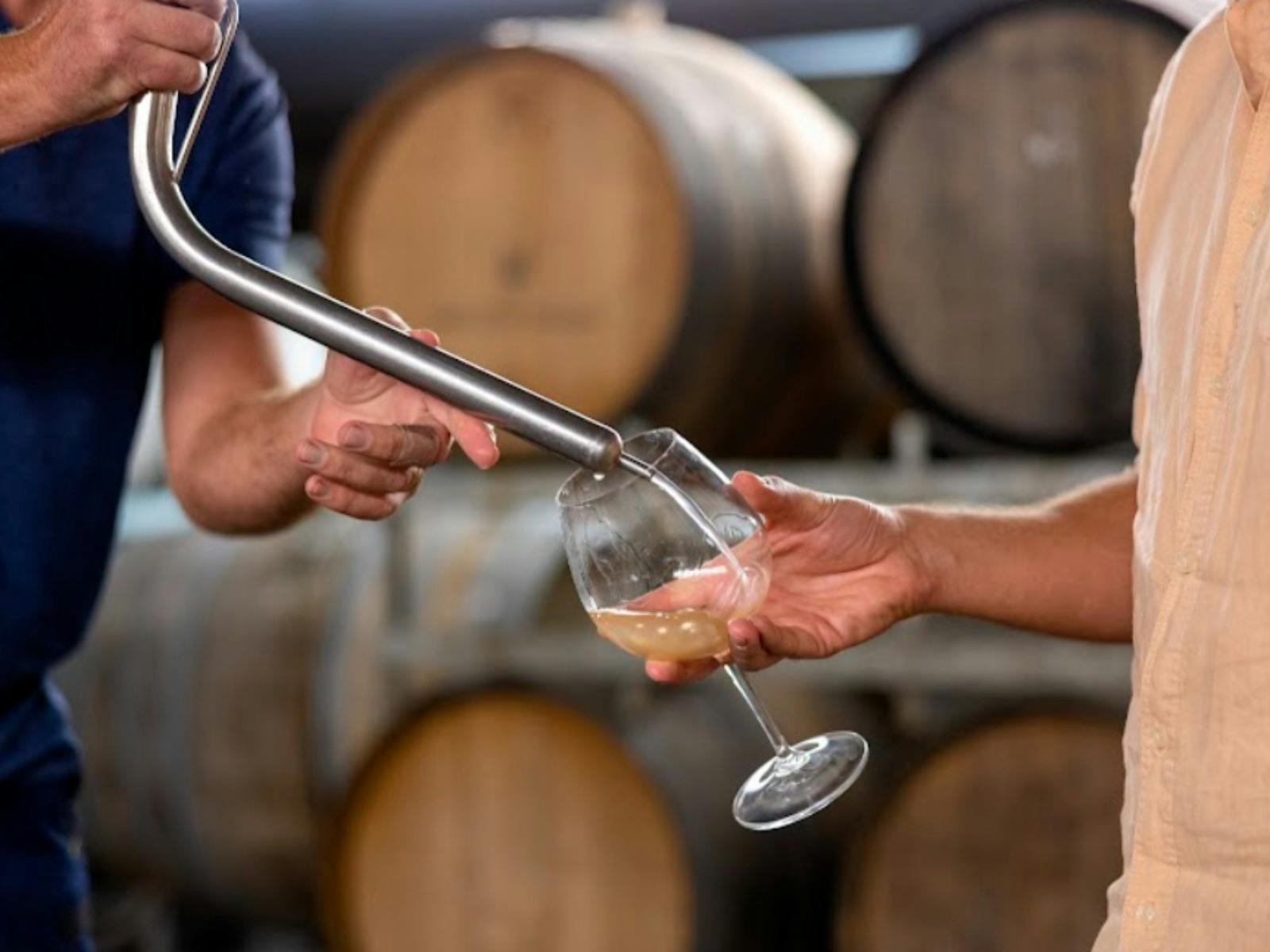 Grape Explorations Winery Tours. Mornington Peninsula & Yarra Valley