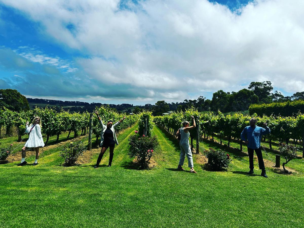 Enjoy a Picnic amongst the vines