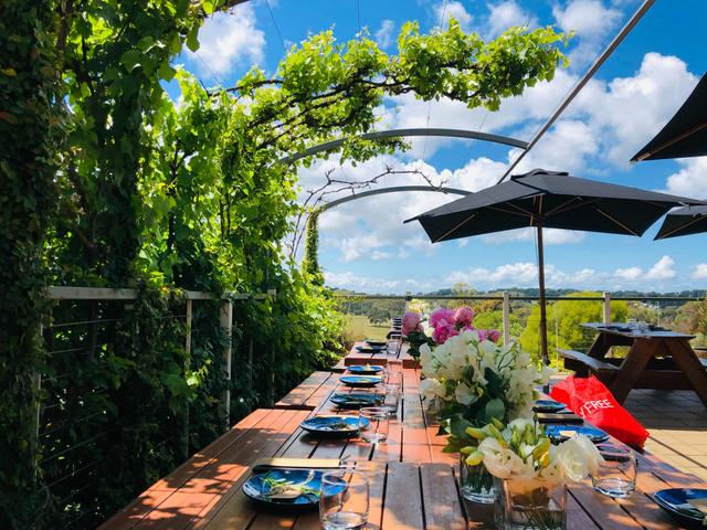 Winery Tour of The Mornington Peninsula at Morning Sun Vineyard