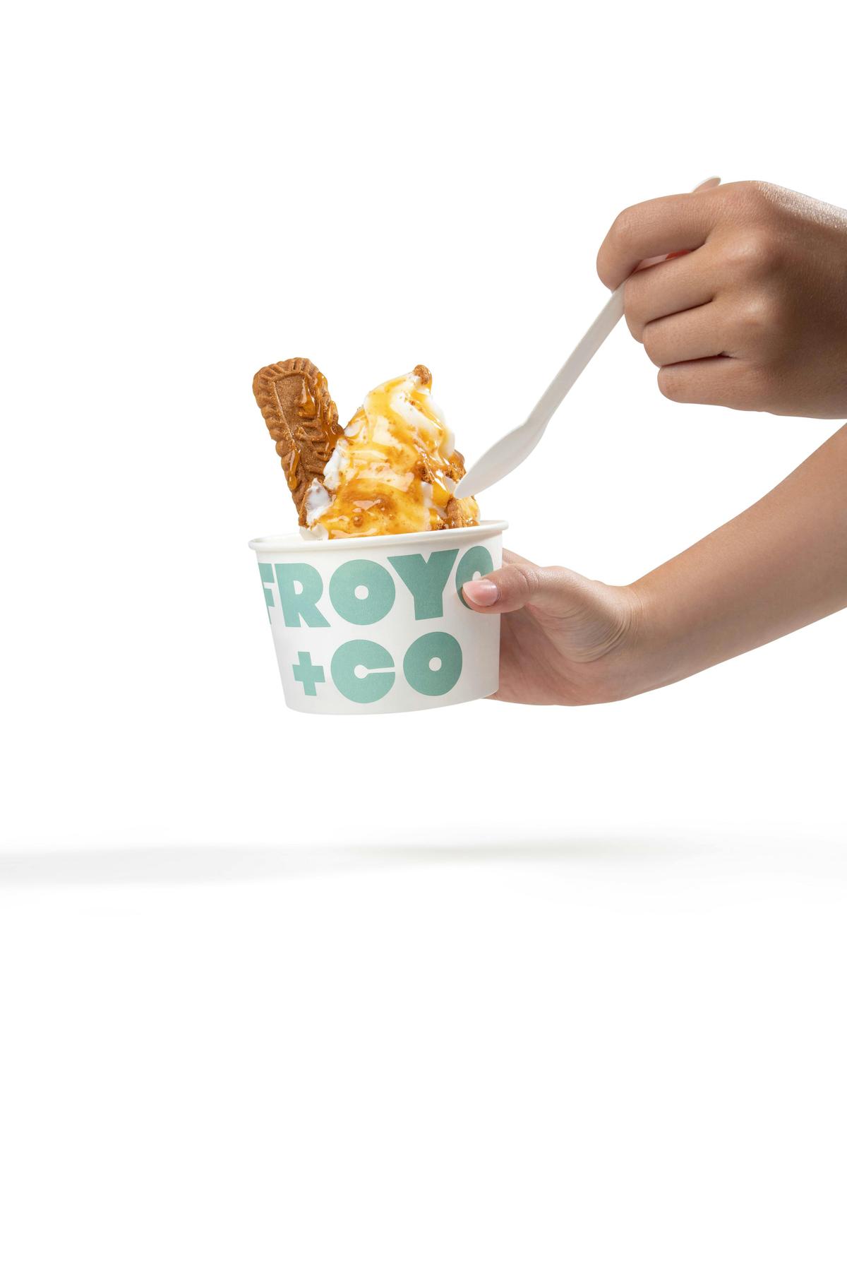 Froyo & Co