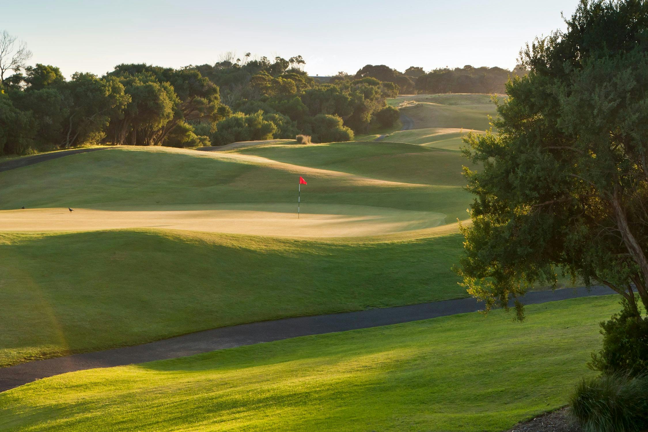 Green vast golf course with hues of orange sunset surrounded by large green trees