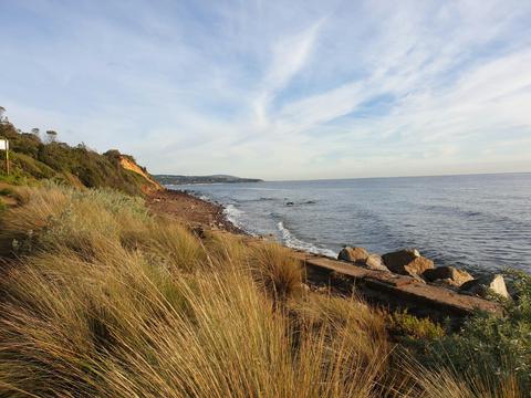 Fosters Beach